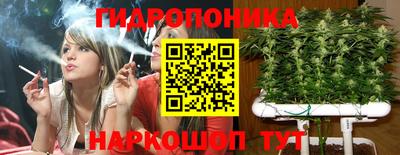 молекула духа Кулебаки