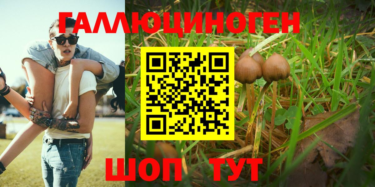 Псилоцибиновые грибы прущие грибы  Вход с VPN  Галлюциногенные грибы Psilocybine cubensis  Качканар 
